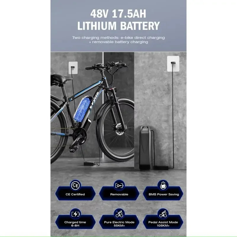Elektrofahrrad 750W Motor 48V17.5Ah herausnehmbarer Akku