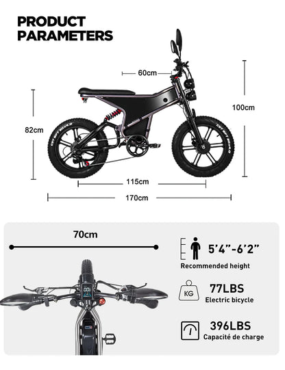 Elektrofahrrad mit Doppelmotor 2×1000W und herausnehmbarem Akku