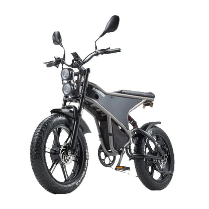 Elektrofahrrad mit Doppelmotor 2×1000W und herausnehmbarem Akku
